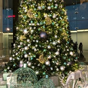 Meet your Posher, Ting